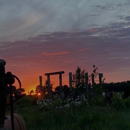 Ferienwohnung Bina Surwold Exteriér fotografie