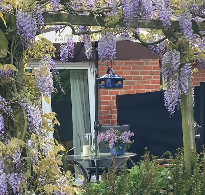 Ferienwohnung Bina Surwold Exteriér fotografie